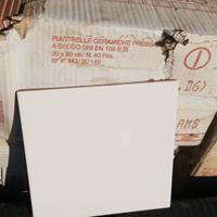 Piastrelle 20x20 color bianco panna