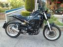 benelli-leoncino-500-benelli-leoncino-500-trail