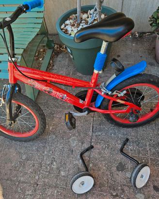 Bicicletta