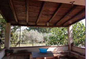 RGE 49/2020 Trib ENNA - LOTTO 2