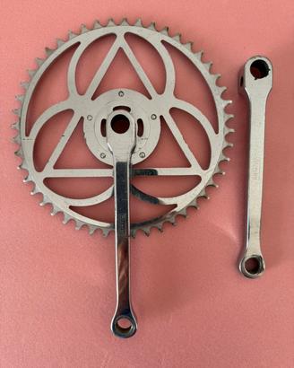 BIANCHI CORSA EPOCA  “FOLGORE”  “ATALA”