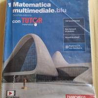 matematica multimediale blu
