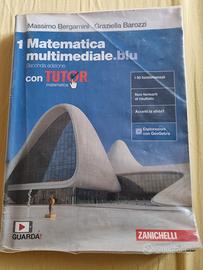 matematica multimediale blu