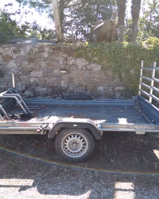 carrello portamoto e omologato porta cose  proprie