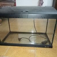 Acquario 
