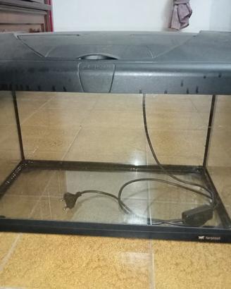 Acquario 