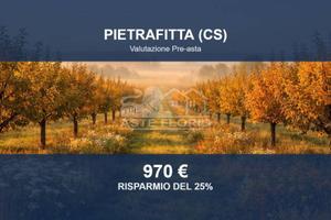 Immobile in asta di 1528 m² a Pietrafitta
