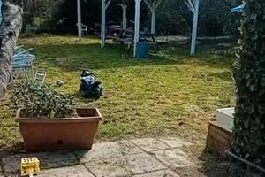 Orto i-n V-e-n-d-i-t-a