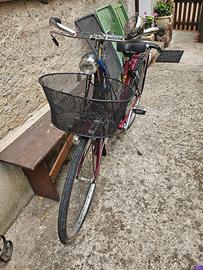 bicicletta vintage donna 