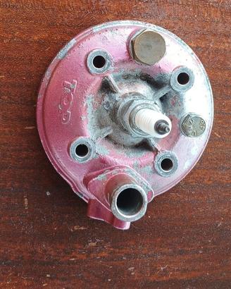 Testa Top Viola 75cc