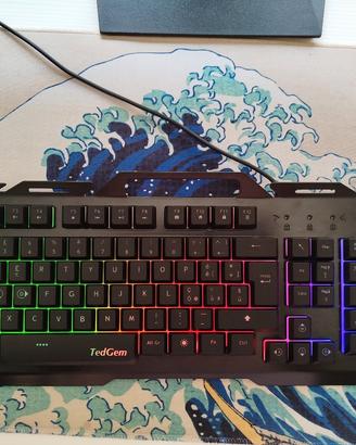tastiera tedgem