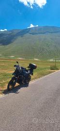 suzuki V-Strom 800 DE 