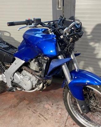 Aprilia pegaso 650 ricambi pegaso 650 1997 - 2002