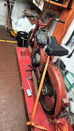 Guzzi Dingo 50 