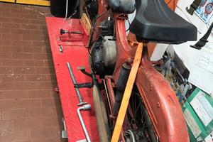 Guzzi Dingo 50 