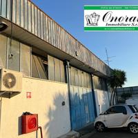 MQ 227 ROMA, TORRE ANGELA FRONTE GRA RIF.A-914