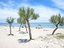 Immagine 6