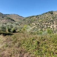 TER. RESIDENZIALE A PIETRABRUNA