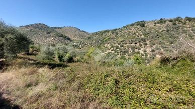 TER. RESIDENZIALE A PIETRABRUNA