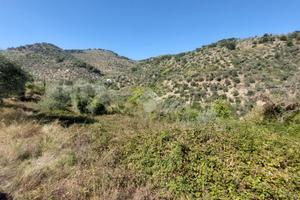 TER. RESIDENZIALE A PIETRABRUNA