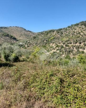 TER. RESIDENZIALE A PIETRABRUNA