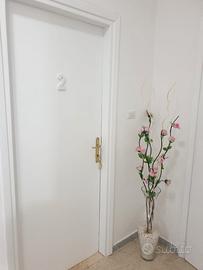 Stanza singola in appartamento condiviso