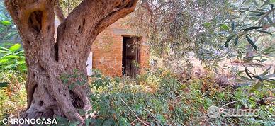 Spartà,pressi s.s.113 Ampio rudere e terreno