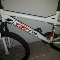 Bici con ammortizzatori