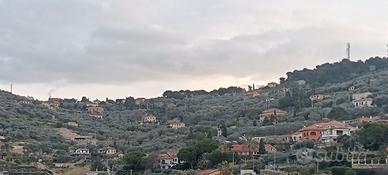 22 ulivi con contratto in comodato gratuit0