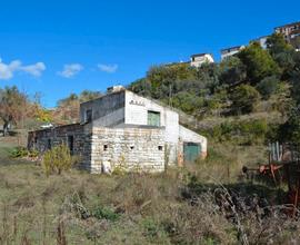 Fabbricato con terreno e piante d'olivo secolari