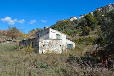 Fabbricato con terreno e piante d'olivo secolari