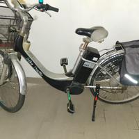 bicicletta elettrica