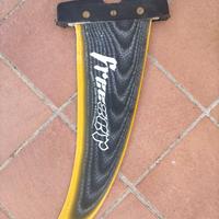 Pinna windsurf Ciessevi freezer