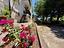 Immagine 23