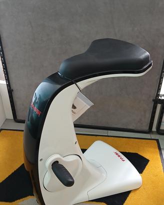 Fassi Cycling Chair