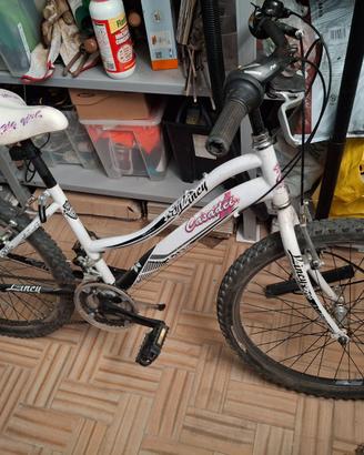 Bici bimba 7/11 anni