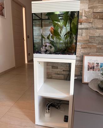 Acquario + mobiletto