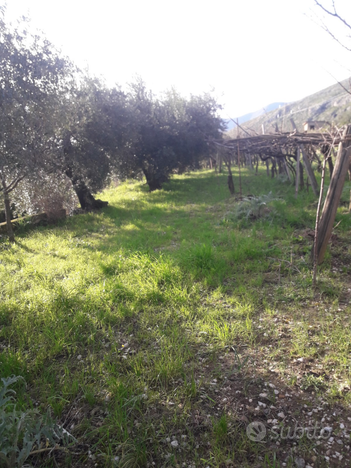 Terreno zona centrale di formia