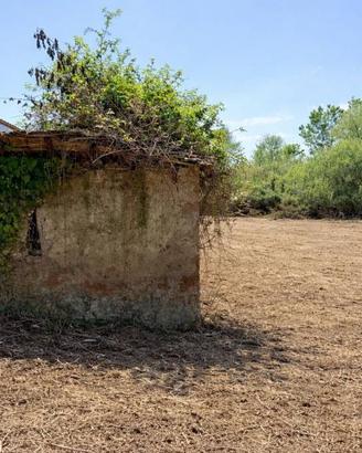 Terreno di 5500 m² a Trevignano Romano