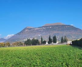 Terreno Residenziale Gubbio