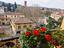 Immagine 11