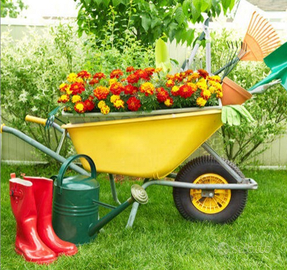 Sfalcio erba e taglio siepi