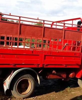 Camion 50 OM.10