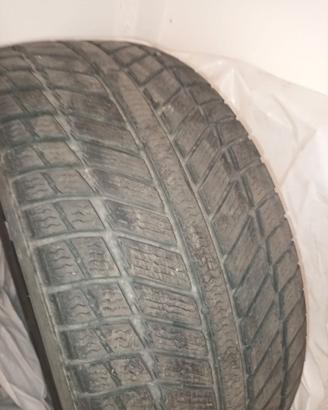 Gomme da neve