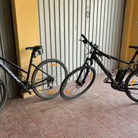 Mtb marca Scott