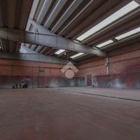 CAPANNONE A FIORANO MODENESE