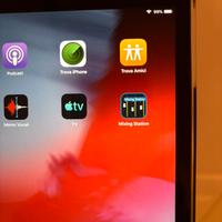 Apple iPad mini 2 16 g