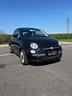 fiat-500-neop-1-2-lounge