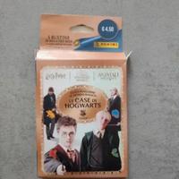 Figurine di album "Le case di Hogwarts"