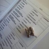 Pandora charm garanzia lettera "N"